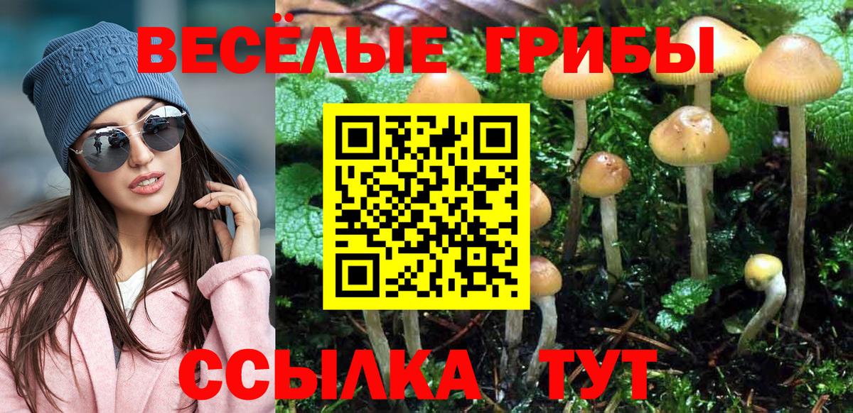 Саранск  Галлюциногенные грибы прущие грибы  Вход с VPN 