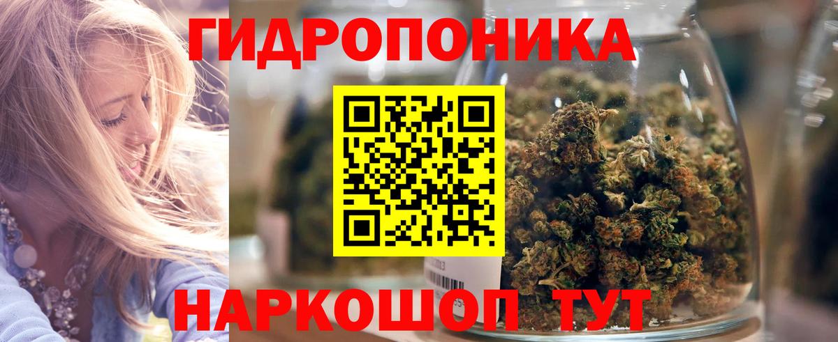 Конопля сатива Саранск
